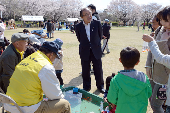 満開の桜の下での金魚すくいは大人気